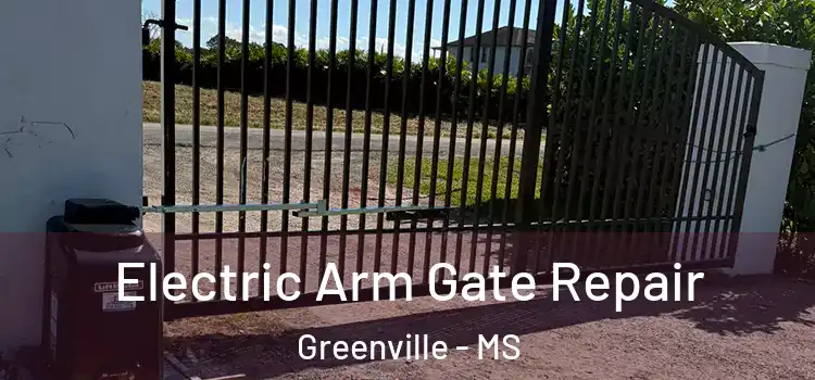  Electric Arm Gate Repair Greenville - MS