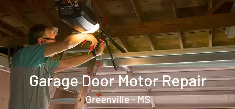  Garage Door Motor Repair Greenville - MS