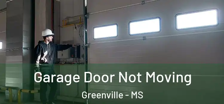  Garage Door Not Moving Greenville - MS