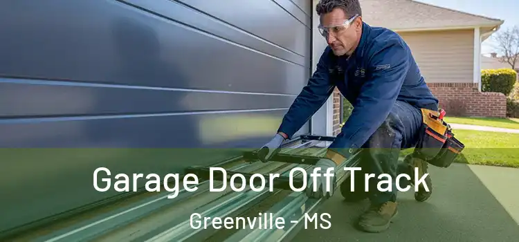  Garage Door Off Track Greenville - MS