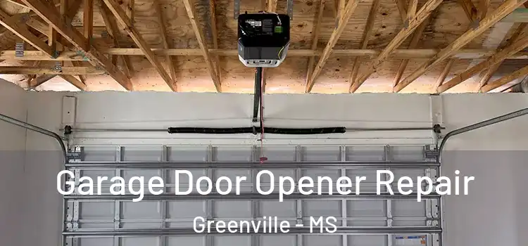  Garage Door Opener Repair Greenville - MS