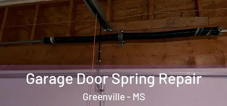  Garage Door Spring Repair Greenville - MS