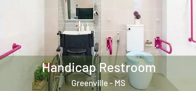  Handicap Restroom Greenville - MS