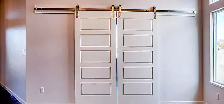 Glass Barn Door with Installation Hardware Kit Greenville