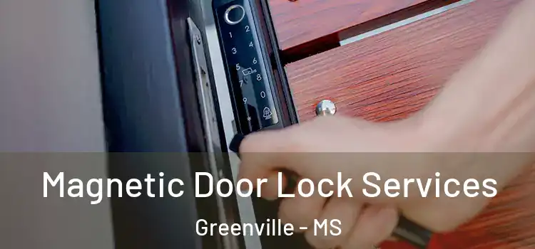 Magnetic Door Lock Services Greenville - MS