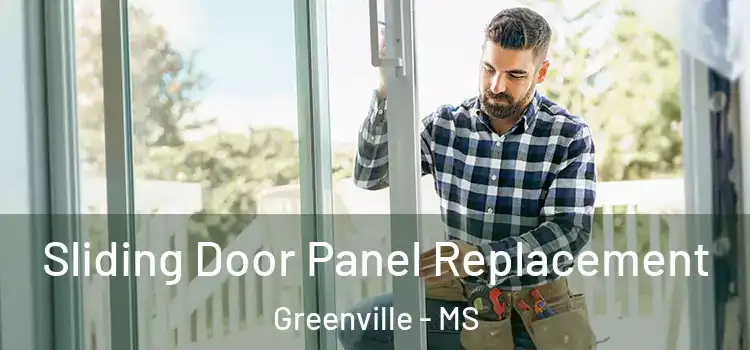  Sliding Door Panel Replacement Greenville - MS