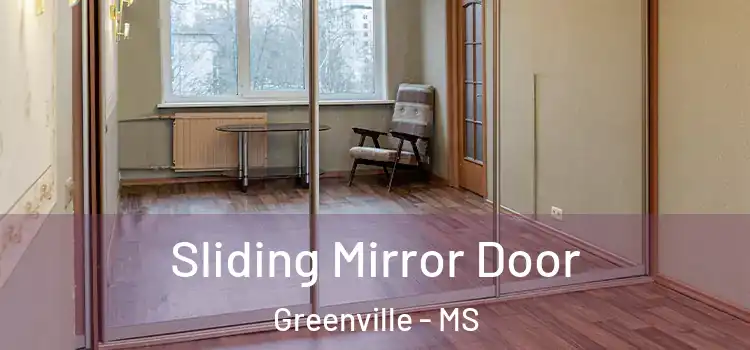  Sliding Mirror Door Greenville - MS