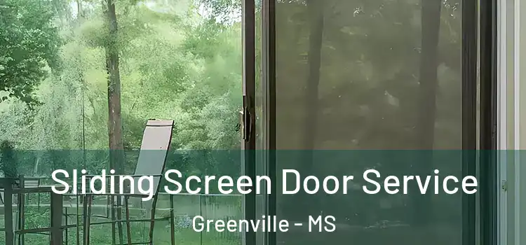 Sliding Screen Door Service Greenville - MS